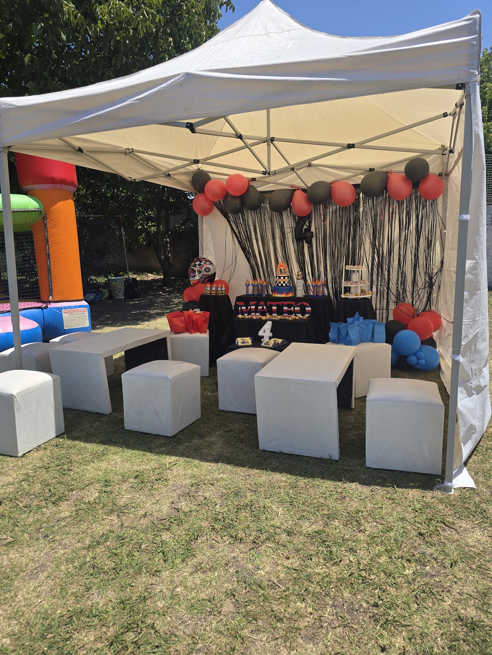 Cumpleaños en el parque